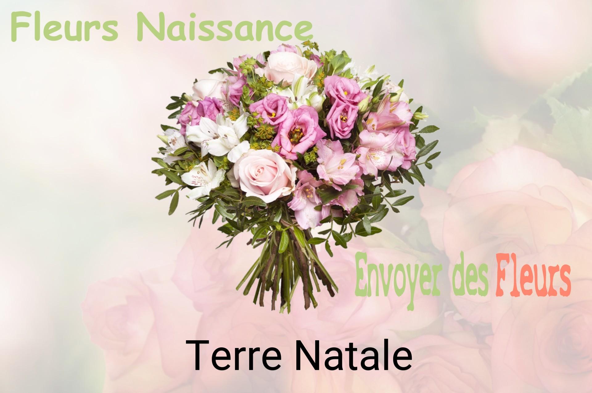 Bouquet de fleurs de naissance livré à Terre-Natale